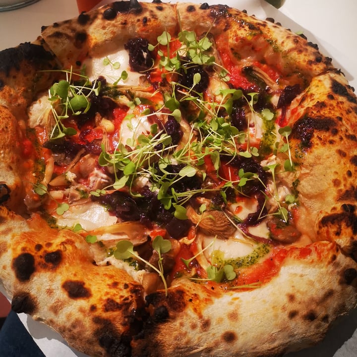 photo of Tozzi Forneria Moderna Pizza Cogumelow shared by @nomeutente on  04 Feb 2022 - review