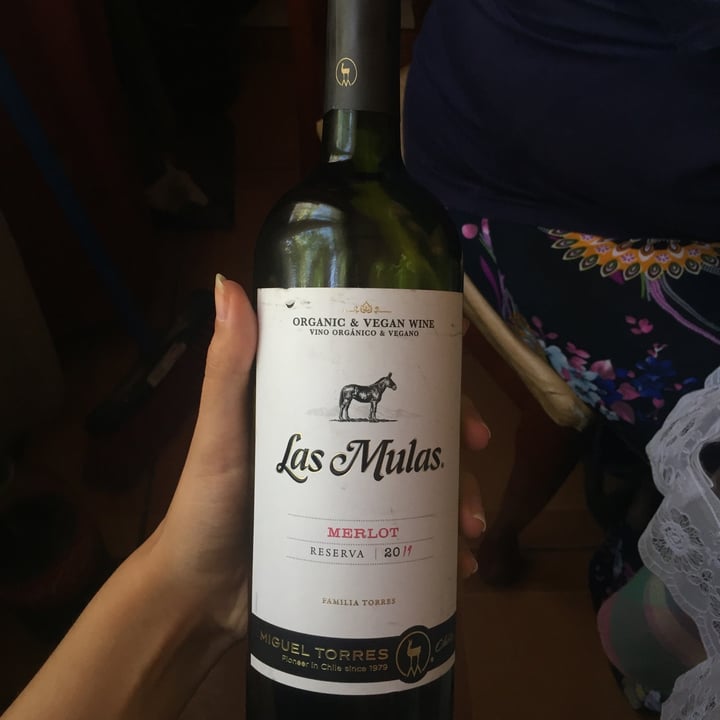review photo of Viña Miguel Torres Vino Carnenére Reserva Las Mulas shared by @belenbigoldflo on 09 Apr 2021 - review