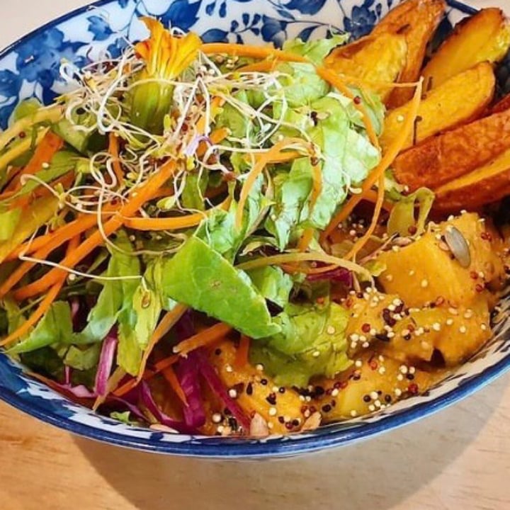 photo of Carrito Organic Russian Bowl shared by @deboranetto on  14 Sep 2021 - review