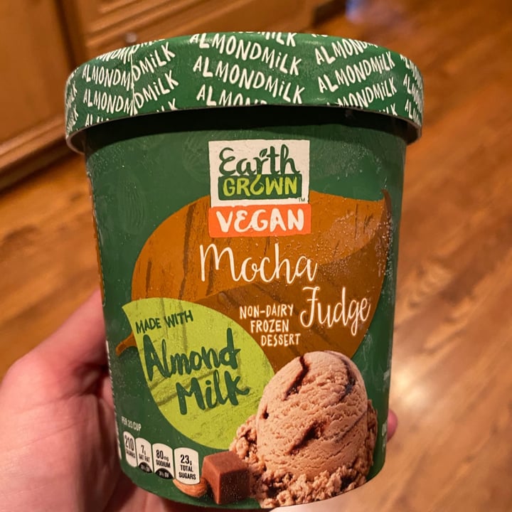 photo of Earth Grown Mocha Fudge Non-Dairy Frozen Dessert shared by @theveganmary on  22 Jul 2021 - review