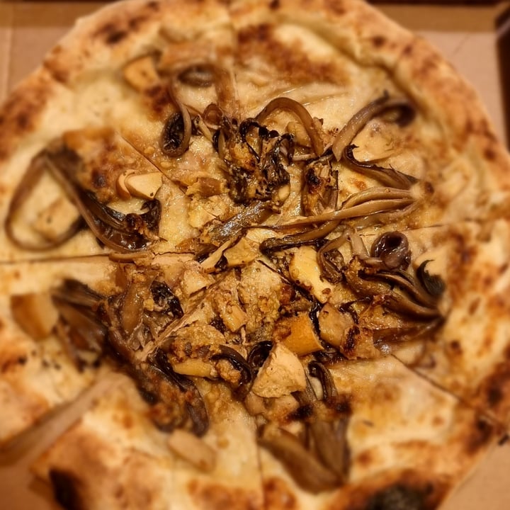 photo of Panepizza pizzeria Bio Km0 Vegana fuori menú di Dicembre shared by @rosanucleare on  12 Dec 2021 - review