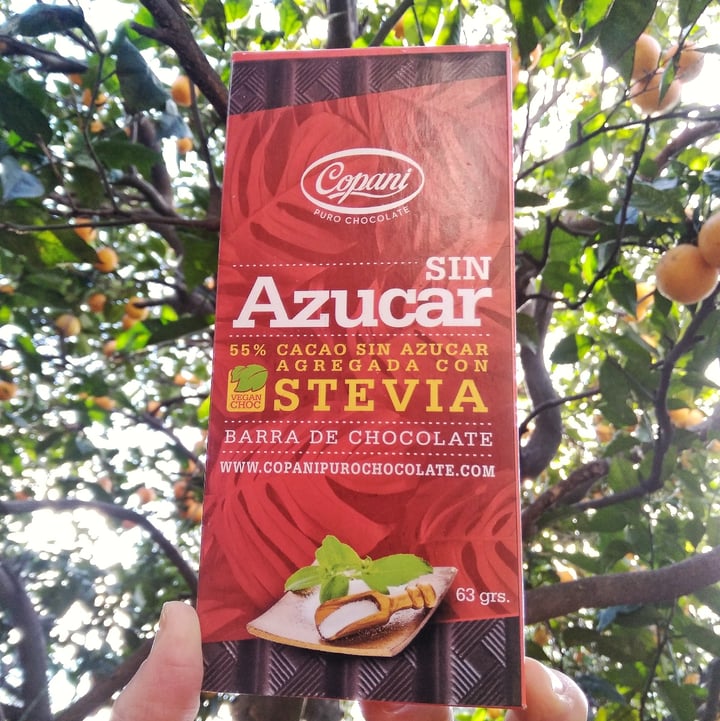 photo of Copani Chocolate 55% Cacao sin Azúcar. Endulzada Con Stevia shared by @petitsaltamontes on  18 Jul 2021 - review
