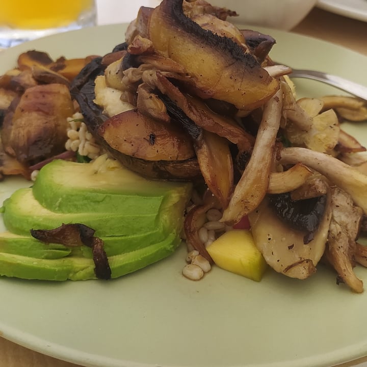 photo of Pulse (Vegan-Vegetarian) Mushroom portobello with salad shared by @ninan on  06 Aug 2021 - review
