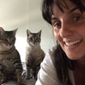 marianamarinho @marianamarinho profile image