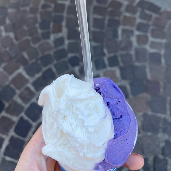 review photo of Le Chiatte Gelato Panna Vegetale E Uva Fragola shared by @vegpeach on 21 Aug 2022 - review