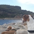 lagio @lagio profile image