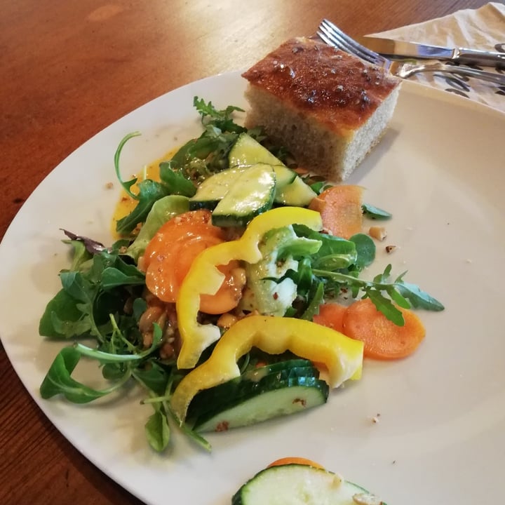 photo of Vegan Resort & veganes Catering in Mecklenburg-Vorpommern der Kernvoll GmbH Gemischter Salat mit Senfdressing shared by @markus09 on  08 Jul 2022 - review