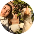 malucasali @malucasali profile image