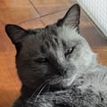 nadia1964 @nadia1964 profile image