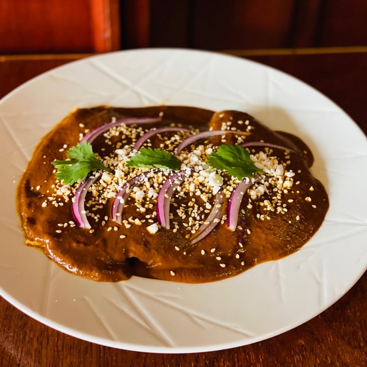 photo of BaoVegan Enmoladas, Mexican Food shared by @oscvegan on  10 Jun 2021 - review