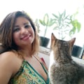 elenapantaleao @elenapantaleao profile image