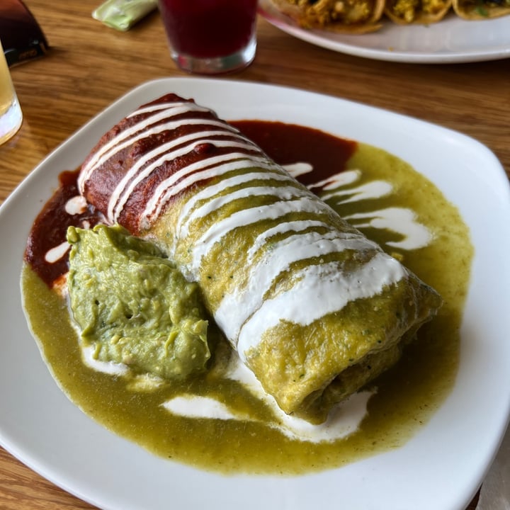 photo of Palm Greens Cafe vegan oscars wet burrito shared by @stephaniegerard on  11 Jun 2022 - review