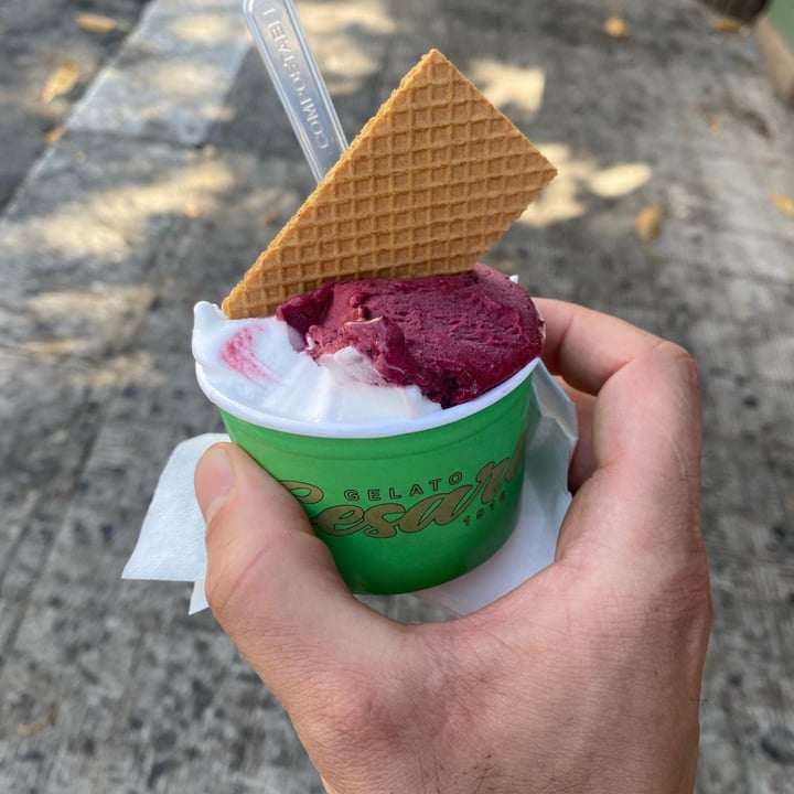photo of Gelateria Cesare coppa gelsi e limone shared by @turipapale on  08 Sep 2022 - review