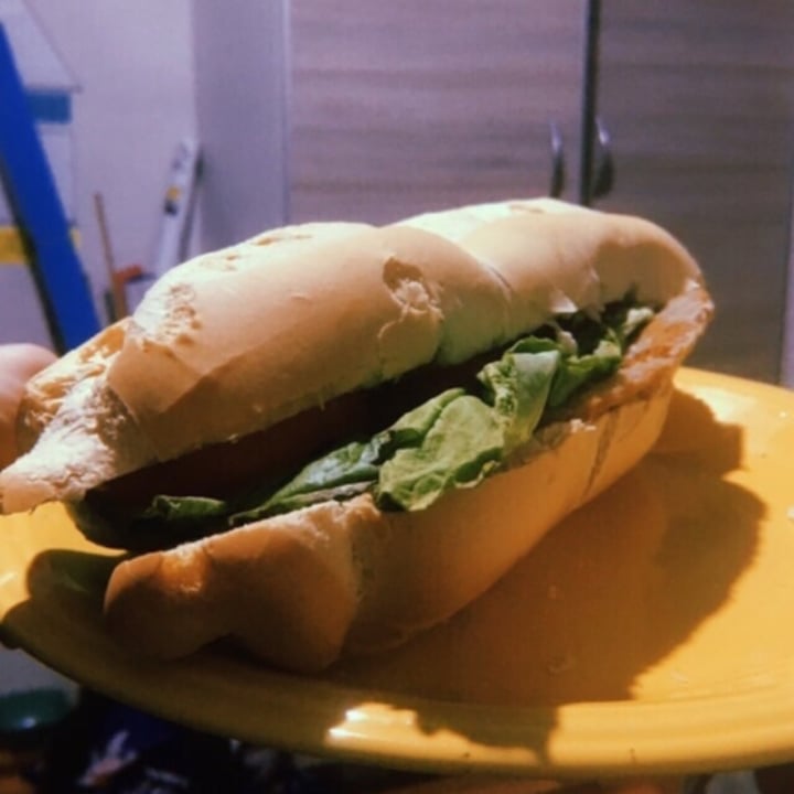 review photo of Seitan Warriors Milanesas De Seitan shared by @icaro on 22 Dec 2020 - review