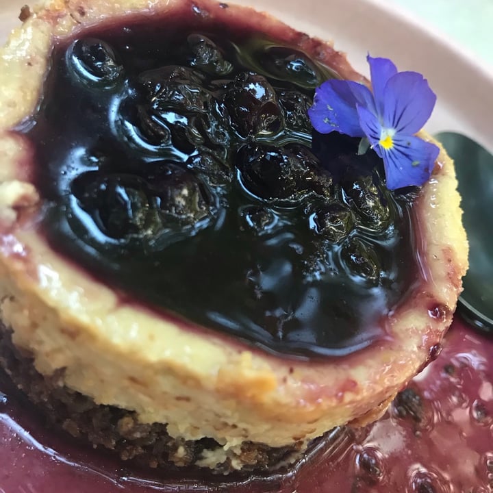 photo of Mudrá Cheesecake de frutos rojos shared by @ladybiird on  24 Dec 2020 - review