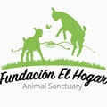 avatar of fundacionelhogar