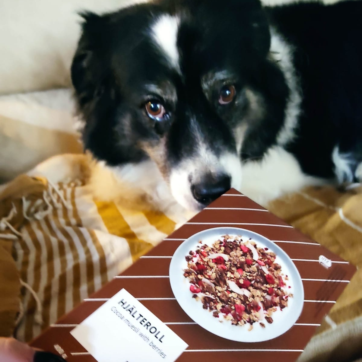 Ikea Hjälteroll cocoa muesli with berries Reviews abillion