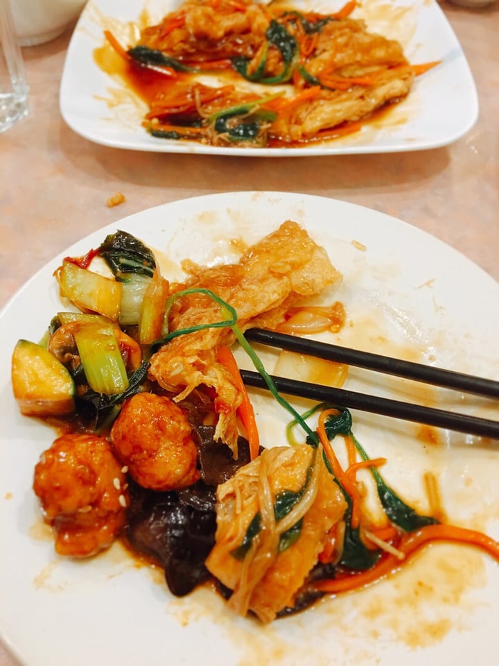 photo of Lotus Pond Vegetarian Restaurant Dish of the day shared by @envirovegan on  24 Feb 2019 - review