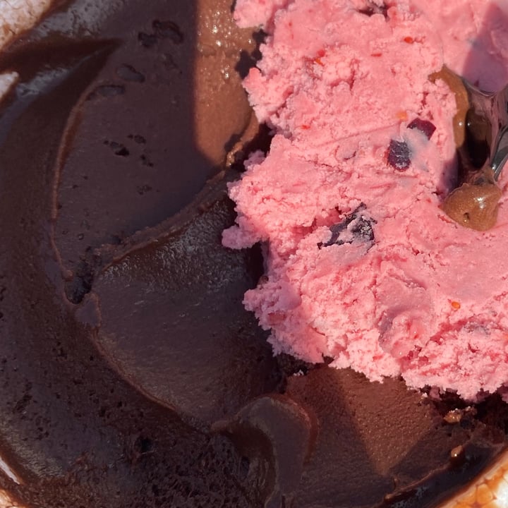 photo of Lucciano's Helado Dark 72% Y Frutales shared by @adiaz on  21 Sep 2021 - review