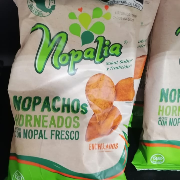review photo of Nopalia Nachos de nopal shared by @lupitadiaz on 07 Oct 2021 - review