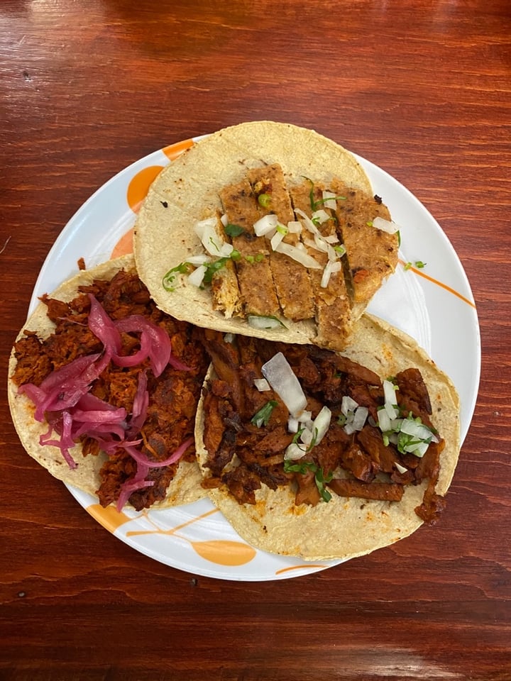 photo of GOLD TACO Tacos Variados De Guisados Mexicanos shared by @olavasled on  06 Dec 2019 - review