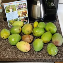 Miami Fruit