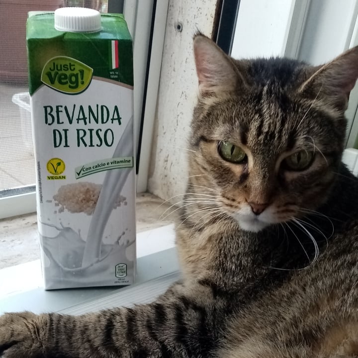 photo of Just Veg! (ALDI Italy) Bevanda di riso shared by @valeveg75 on  21 Jul 2022 - review