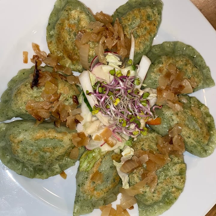 photo of Vegemiasto Spinach and tofu dumplings shared by @tsarinaveg on  26 Nov 2022 - review