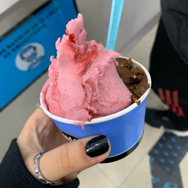 photo of Freddo helado not co mouse de frutilla y frambuesa shared by @anabolena on  23 Apr 2022 - review