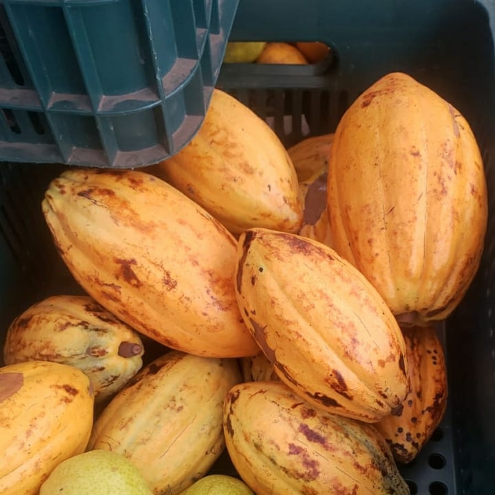 review photo of Instituto Feira Livre Cacau Chocolate shared by @mariliaf on 12 May 2022 - review