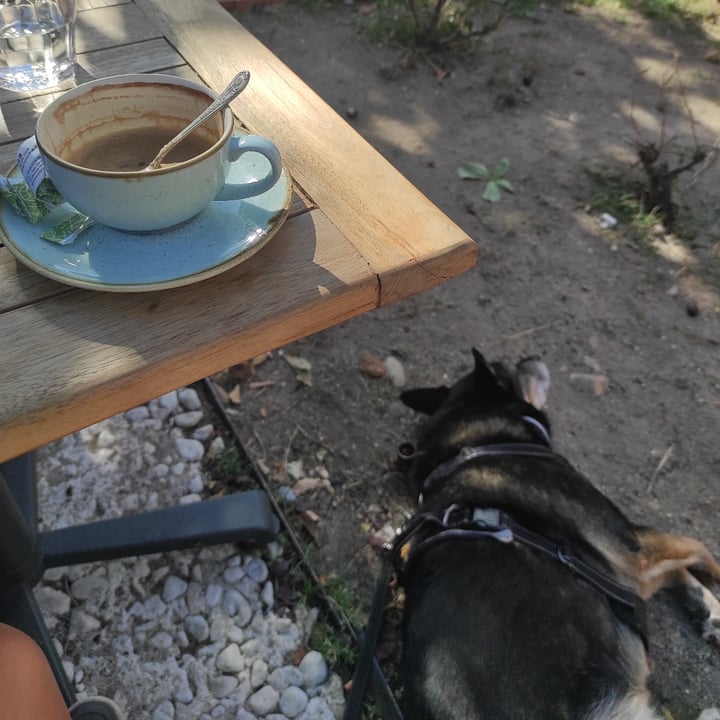 review photo of Lamucca de Andes (Organik ⚡ Parriya) cafe con leche de almendras shared by @rachelr on 30 Oct 2022 - review