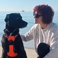 veggielauher @veggielauher profile image