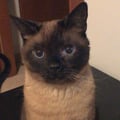 raffa76 @raffa76 profile image