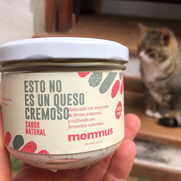 photo of Mommus Foods Queso Crema Sabor Natural shared by @anaiturrizar on  20 Dec 2020 - review