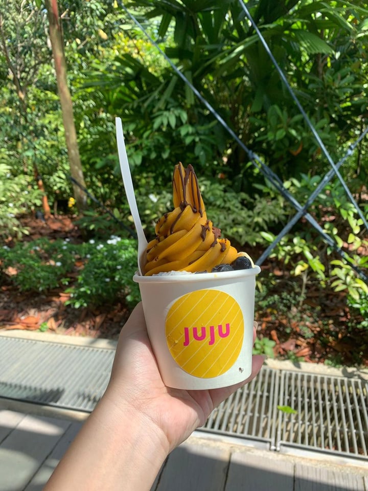 review photo of JuJu Mango JuJu Bowl shared by @holyloewe on 14 Jan 2019 - review