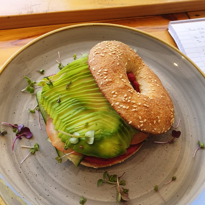 photo of Harvest Cafe Avo Bagel shared by @semacleod on  06 Mar 2022 - review