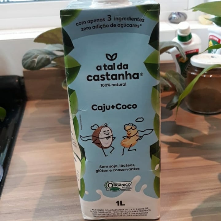 photo of A Tal da Castanha Alimento com Castanha de Caju e Leite de Coco orgânico shared by @katiarozeli on  22 Dec 2022 - review