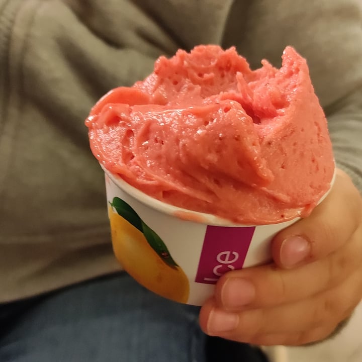 review photo of Gelateria Gianni Gelato fragola shared by @giom26 on 14 Apr 2022 - review