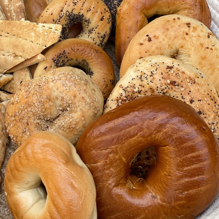 photo of 1610 Bagel Everything Bagel shared by @animalsavesaudi on  20 Mar 2021 - review