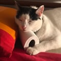 monicat @monicat profile image