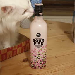Sour Fisk