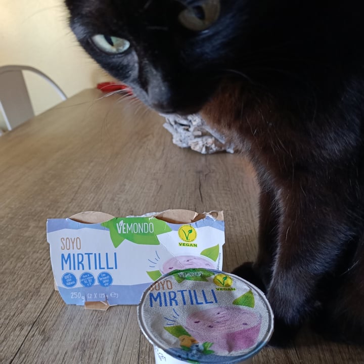 photo of Vemondo yogurt al mirtillo shared by @sarahneva on  17 Oct 2021 - review