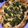 Salustri