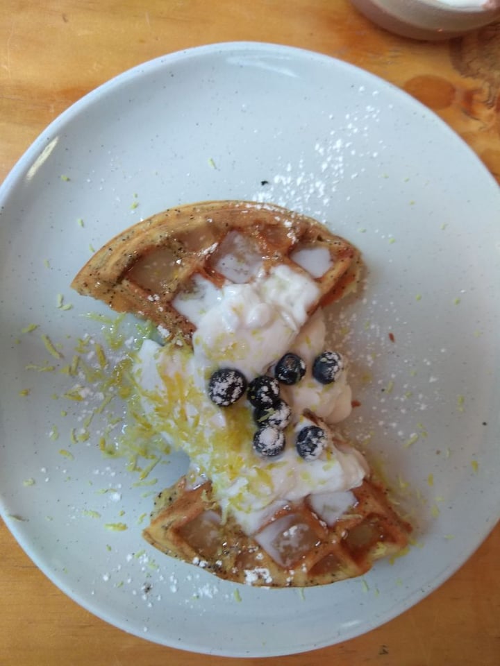 review photo of Jessy's Waffles Lemon and poppyseed waffle shared by @hayleytomes on 19 Jan 2020 - review