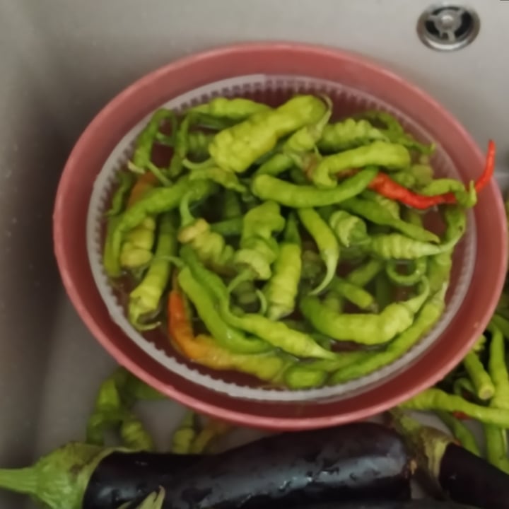 photo of ortofrutta Zorzato frutta e verdura shared by @fradasacco on  18 Jun 2022 - review