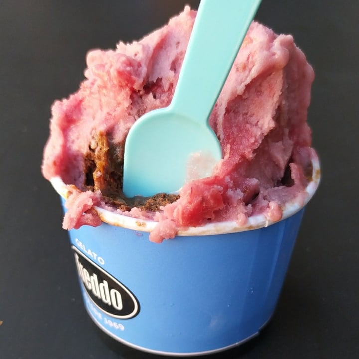 photo of Freddo NotGelato shared by @camilaschelotto on  27 Aug 2022 - review