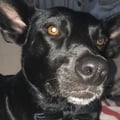 mmartagr @mmartagr profile image