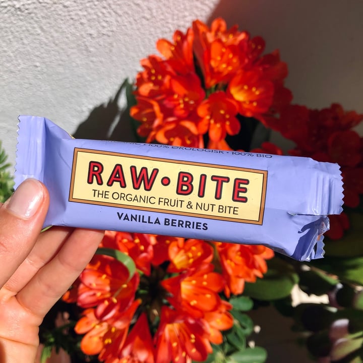 photo of Raw Bite Raw Bite Vanilla Berries shared by @pbsofia on  27 Mar 2021 - review