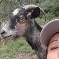 mimmerina @mimmerina profile image