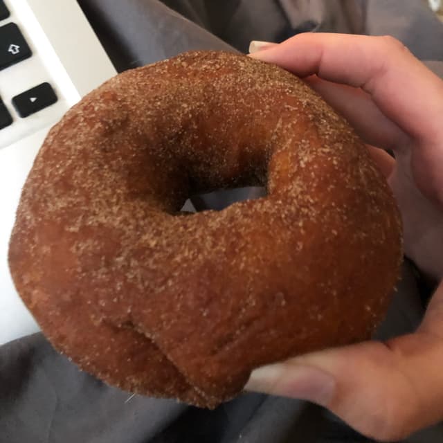 Photo of the dish “Vegan Sourdough Cinnamon Donut”